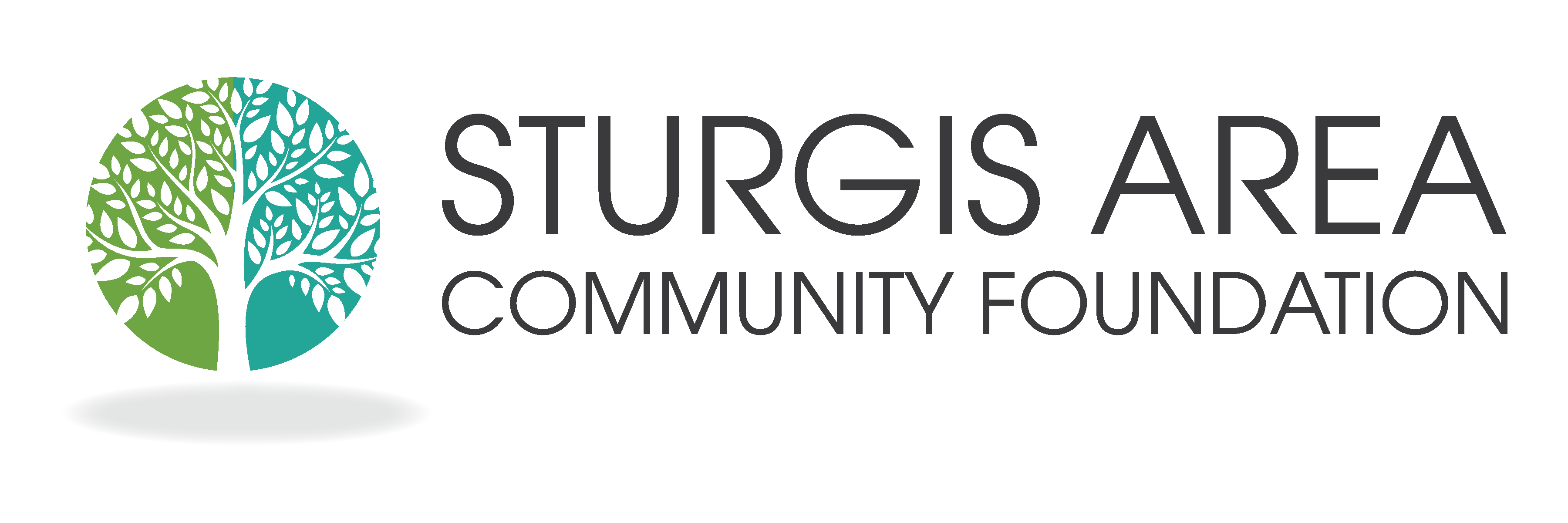 Sturgis Area Community Foundation Grants Database